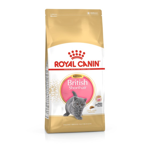 Royal Canin British Shorthair Kitten ambalajı