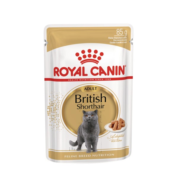 Royal Canin British Shorthair Adult Gravy ambalajı